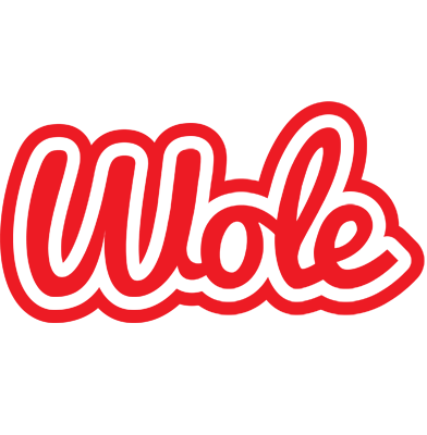Wole sunshine logo