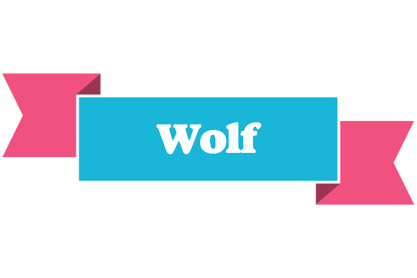 Wolf today logo