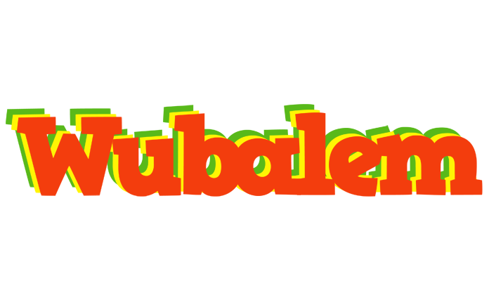 Wubalem bbq logo