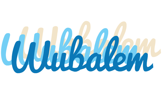 Wubalem breeze logo