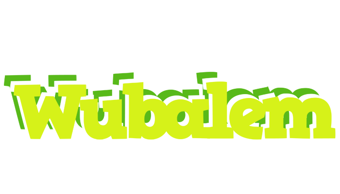 Wubalem citrus logo