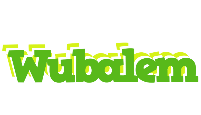 Wubalem picnic logo