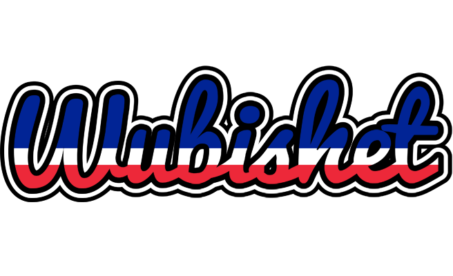 Wubishet france logo