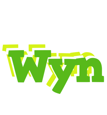Wyn picnic logo