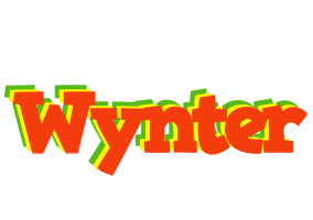 Wynter bbq logo