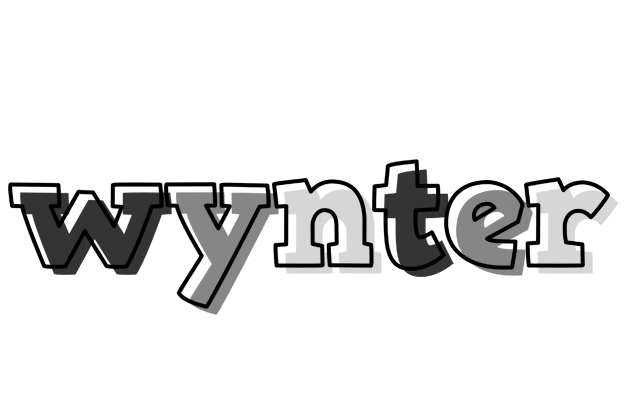 Wynter night logo