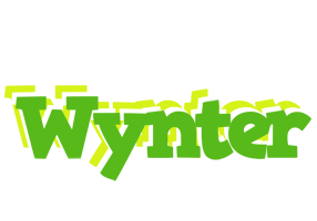 Wynter picnic logo