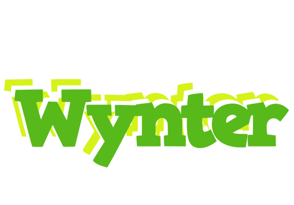 Wynter picnic logo