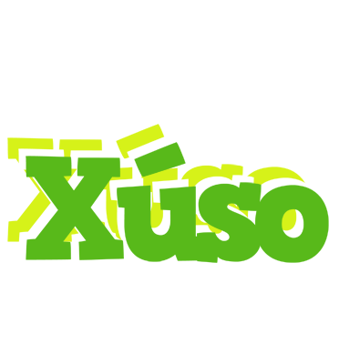 Xúso picnic logo