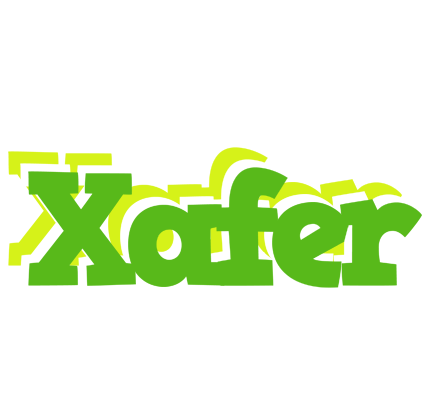 Xafer picnic logo