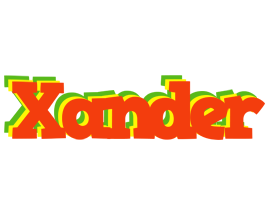 Xander bbq logo