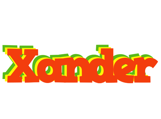 Xander bbq logo