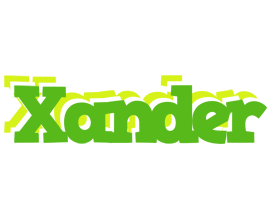 Xander picnic logo