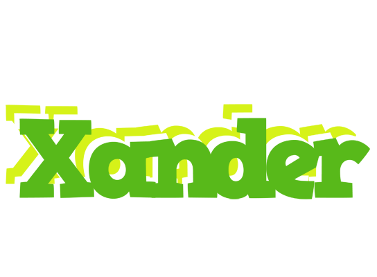Xander picnic logo