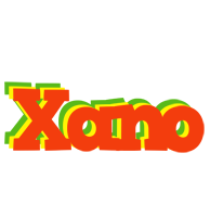 Xano bbq logo