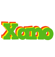 Xano crocodile logo