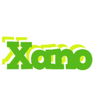 Xano picnic logo