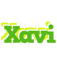 Xavi picnic logo