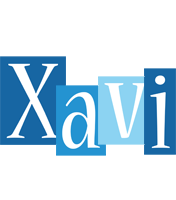 Xavi winter logo