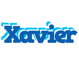 Xavier business logo
