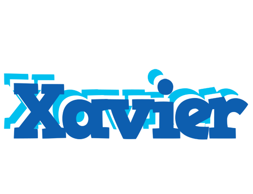 Xavier business logo