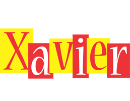 Xavier errors logo