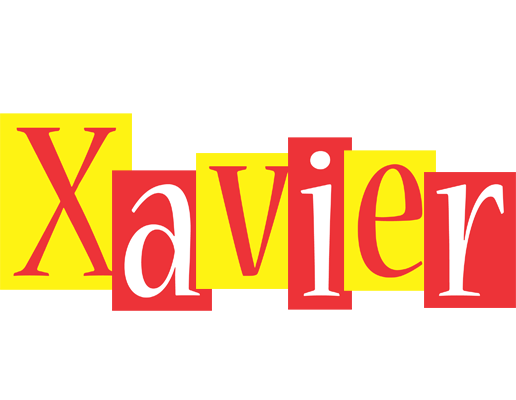 Xavier errors logo