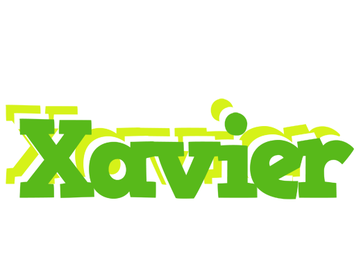 Xavier picnic logo