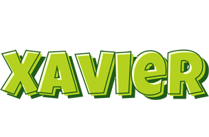 Xavier summer logo