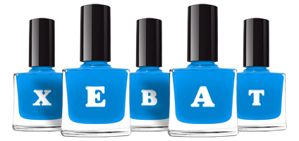 Xebat glossy logo