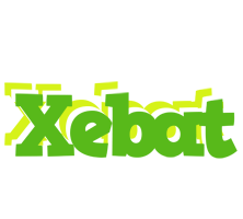 Xebat picnic logo