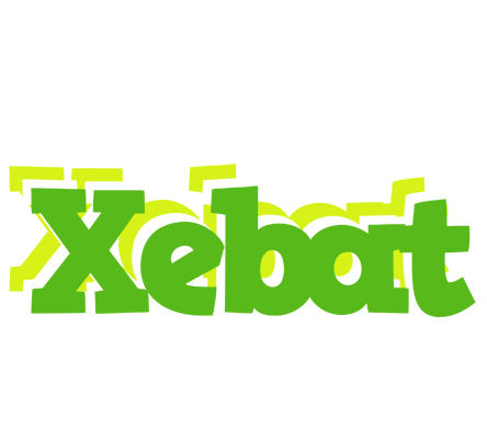 Xebat picnic logo