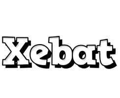 Xebat snowing logo