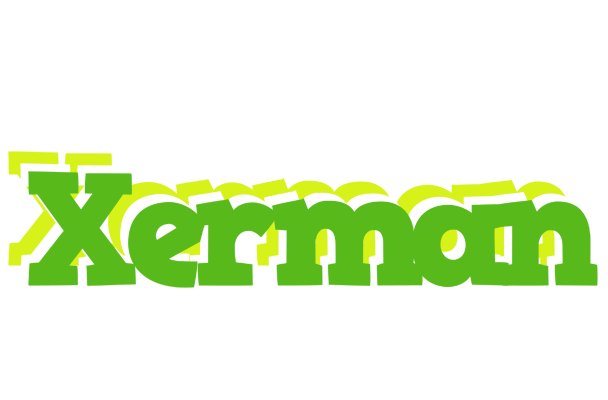 Xerman picnic logo