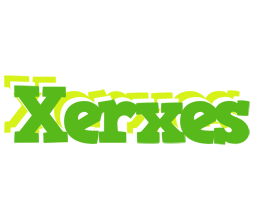 Xerxes picnic logo