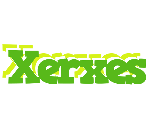 Xerxes picnic logo