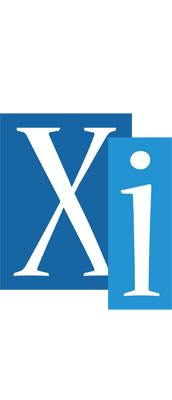 Xi winter logo
