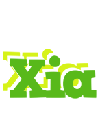 Xia picnic logo