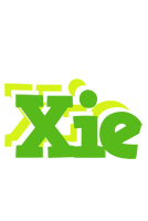 Xie picnic logo