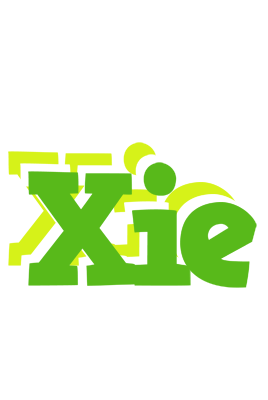 Xie picnic logo