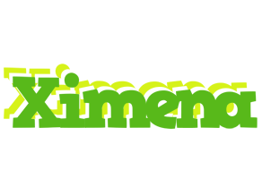 Ximena picnic logo