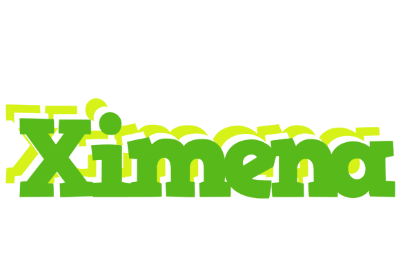 Ximena picnic logo