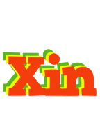 Xin bbq logo