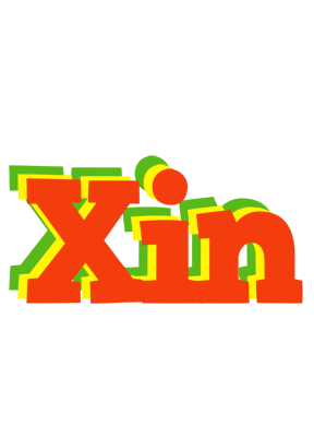 Xin bbq logo