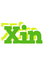 Xin picnic logo