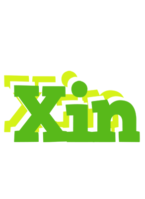 Xin picnic logo