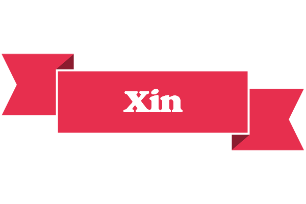 Xin sale logo