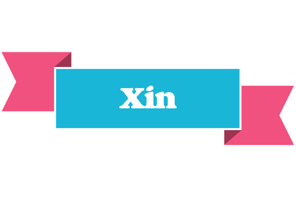 Xin today logo