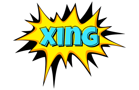 Xing indycar logo