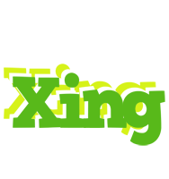 Xing picnic logo